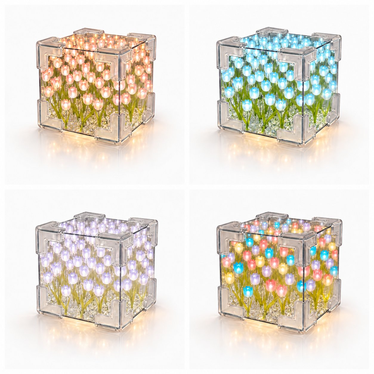 🌷Blossom Box
