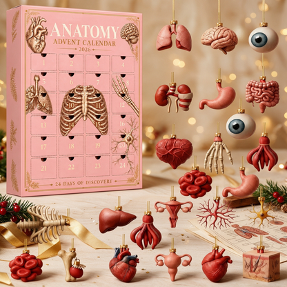 🫀🎁Anatomy Advent Calendar — 24 Anatomy Ornaments