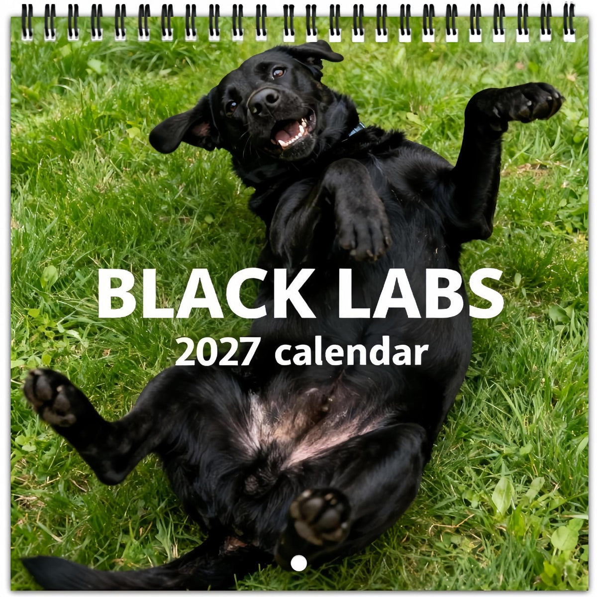 🐕‍🦺2027 Cute Black Labs Calendar