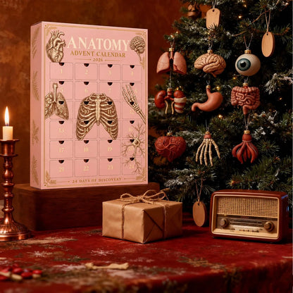 🫀🎁Anatomy Advent Calendar — 24 Anatomy Ornaments