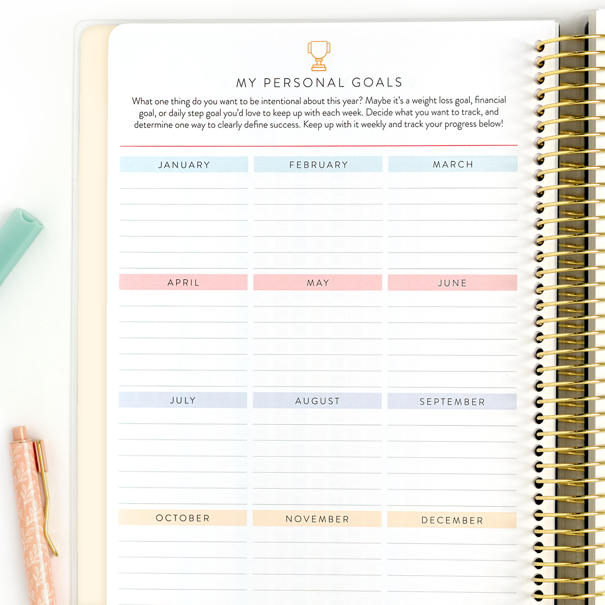 2027 blush home planner my personal goals page
