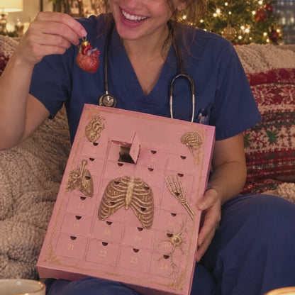 🫀🎁Anatomy Advent Calendar — 24 Anatomy Ornaments